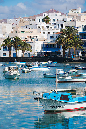 Casas con palmeras en el Charco de San Ginés - Arrecife.
