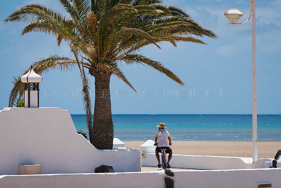 Bajo la palmera - Paseo marítimo de Playa Honda, San Bartolomé