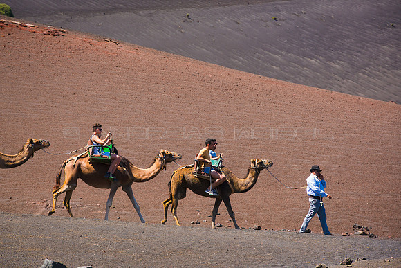 De safari en Timanfaya - Echadero de Camellos, Yaiza.