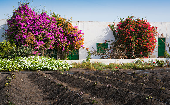 Casa con buganvillas - Tías.