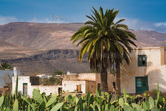 Parque eólico desde Guatiza - Teguise y Haria.