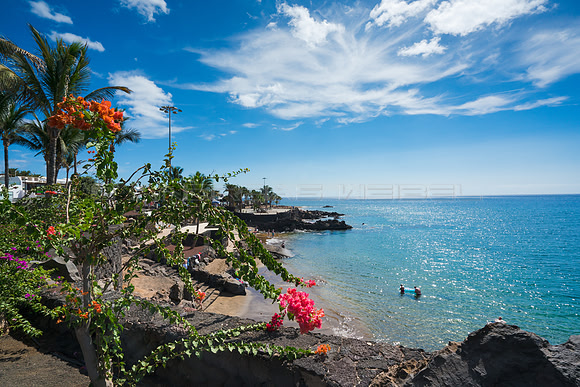 Buganvillas ante la costa de Puerto del Carmen, Tías.