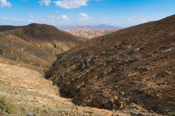 Barranco majorero - Pájara, Fuerteventura.