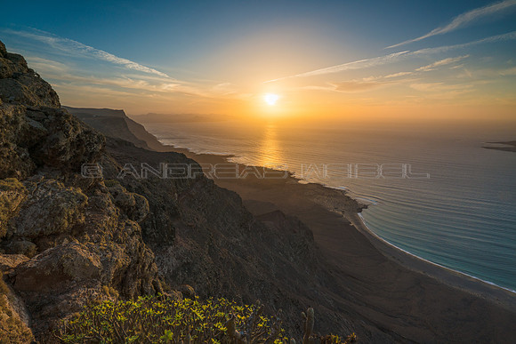 Atardecer con Tabaiba en el Risco de Famara - Haria.