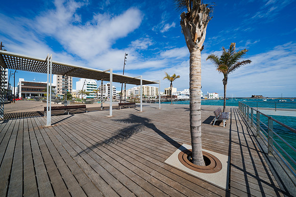 Palmeras en primera línea - Parque Islas Canarias, Arrecife.