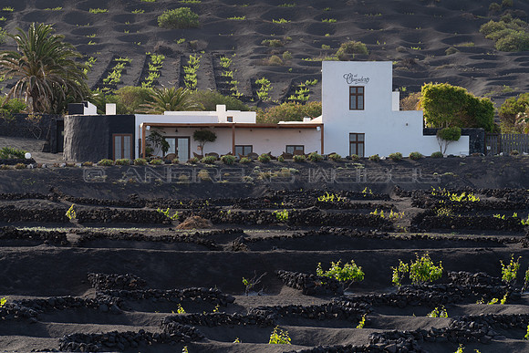 El Chupadero - Finca entre viñedos, La Geria.