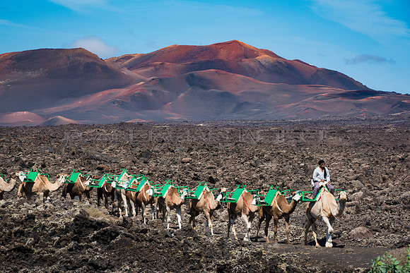 Parque Nacional de Timanfaya - con Camellos.