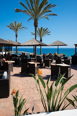 Entre esterlicias y palmeras - Bar con vistas en el Paseo marít