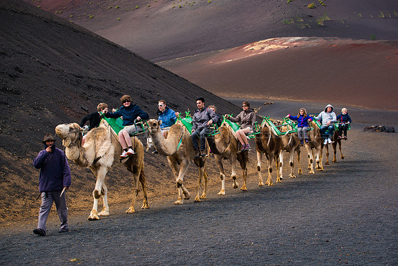 Excursión en camello - Parque Nacional de Tmanfaya, Lanzarote.