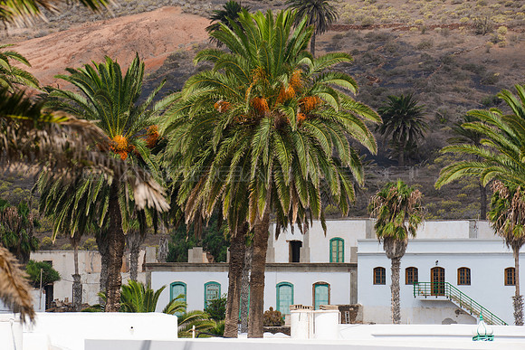 Haria - un pueblo entre palmeras.