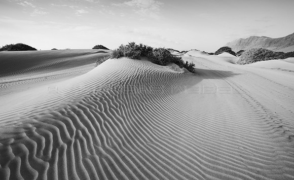 Patrones y Balancones  en las Dunas de Famara - Teguise, Lanzaro