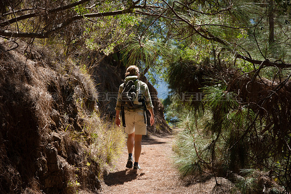 Atravesando pinares - Parque Nacional de la Caldera de Taburiente.
