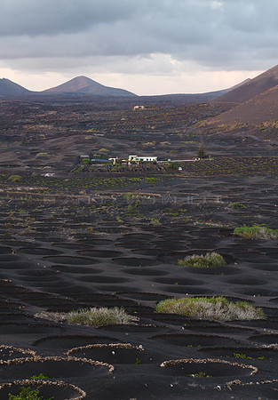 La Geria, un paisaje de hoyos - Yaiza.