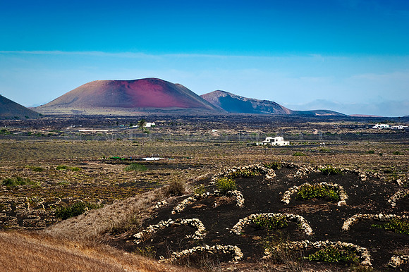 La Geria - viñedos y volcanes