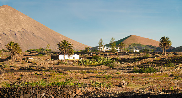 Cultivos con volcanes - La Vegueta, Tinajo.
