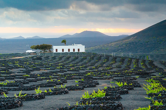 Finca enre viñedo y volcán - La Geria, Lanzarote.
