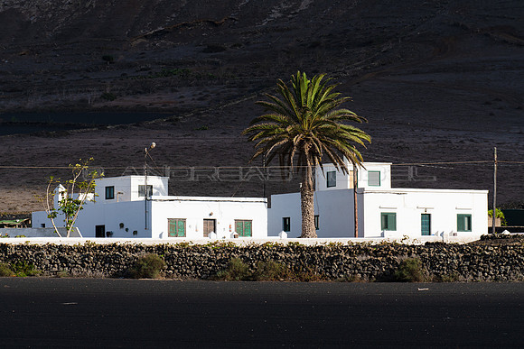 Iluminadas - Casas con palmera en La Vegueta, Tinajo.
