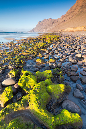 Rocas con vestido verde - Playa de Famara, Teguise.