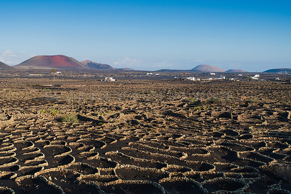 Un paisaje de muritos - Masdache, La Geria.