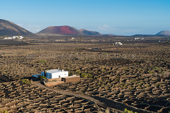 Casas diseminadas entre viñedos - Masdache, La Geria.