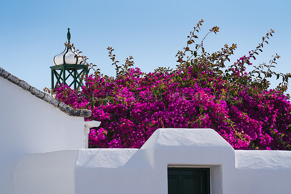 Buganvilla con chimenea - Pueblo Marinero, Costa Teguise.