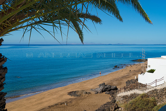 Vista con palmera - Playa de la Peñita, Puerto del Carmen.