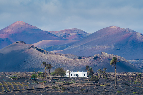 Vista a la Finca Testeyna, Volcan del Cuervo y Timanfaya - La Ge