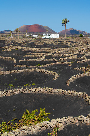 Entre zocos - Casas cerca de Masdache,  Tías.