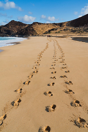 Pisadas en la arena - Playa de las Conchas, La Graciosa.