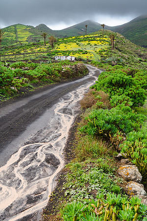 Corre el agua y brotan las flores - Haria.