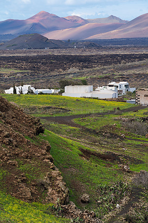 Casas entre praderas verdes y volcanes - Conil, Tías.