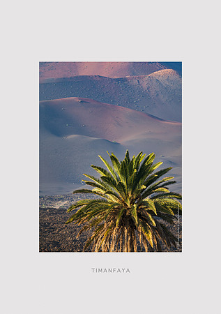 03 - Palmera Timanfaya