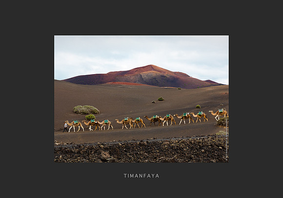 10 - Camellos en Timanfaya