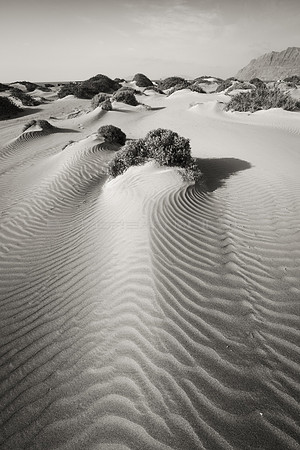 Luz y sombra en las dunas de Famara - Lanzarote, Canarias