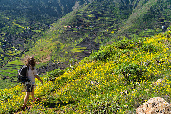 Sendero con vistas al valle - Valle de Tabayesco, Haria.