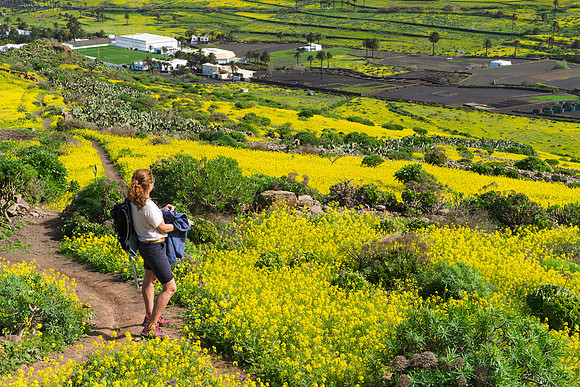 Disfrutando vistas - Valle de Haria.
