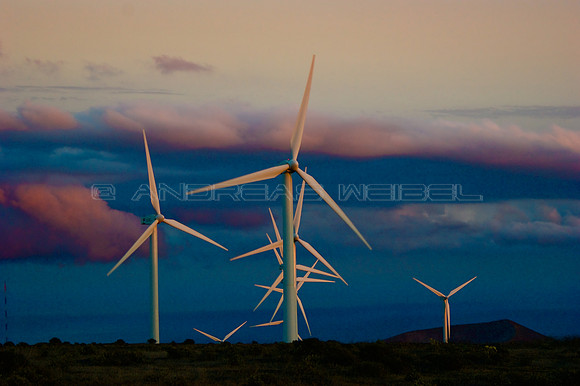 Paisaje eólico en Lanzarote