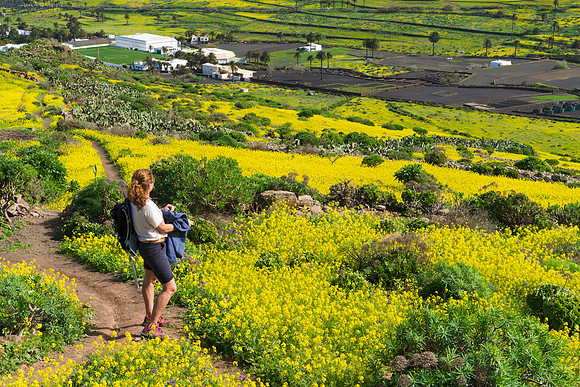 Disfrutando vistas - Valle de Haria.