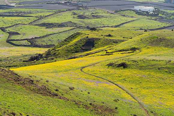 Sendero entre colinas - Tías.
