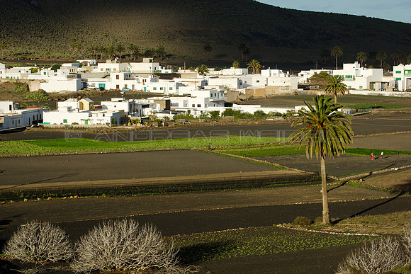 Cultivos ante pueblo en Máguez - Haria.