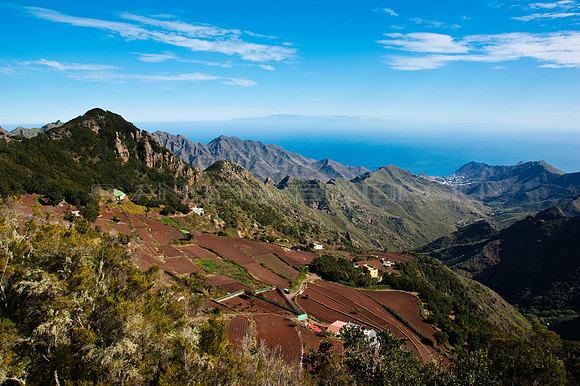 Cultivos en Anaga - Tenerife, Islas Canarias