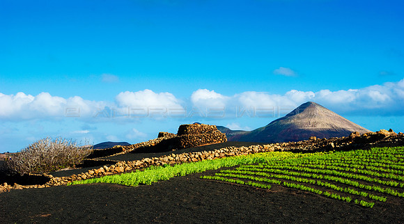 Paisaje rural con volcán - Lanzarote