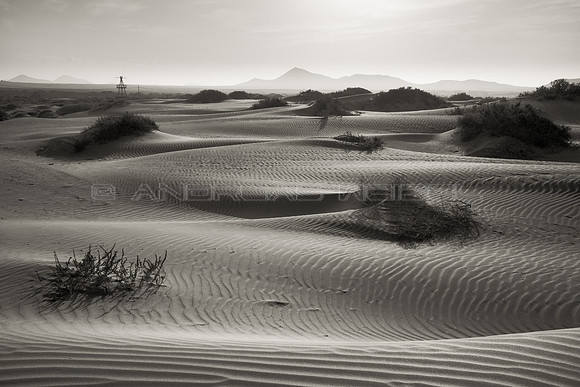Arena blanca en las Dunas de Famara - Lanzarote, Islas Canarias