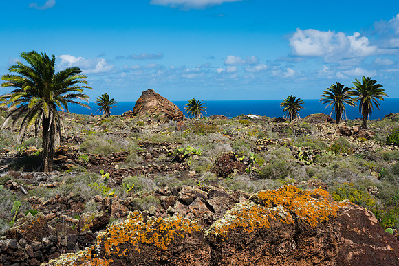 Hornito con Palmeras - Malpais de La Corona, Lanzarote