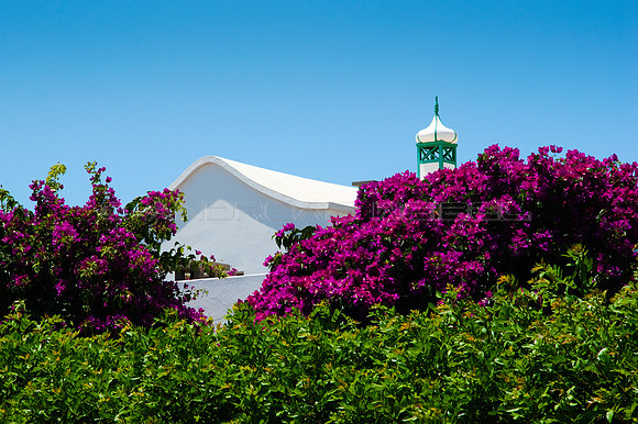 Típico Lanzarote
