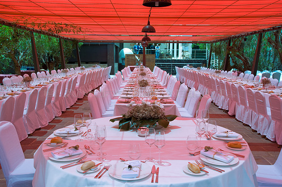 Boda C & P