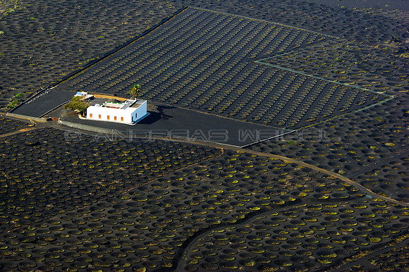 Finca en La Geria - Lanzarote, Islas Canarias