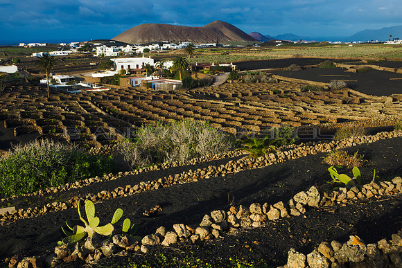 Paisaje rural al atardecer - La Vegueta, Lanzarote.