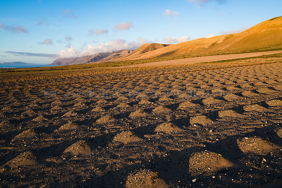 Cultivo de Batata ante el Risco de Famara, Lanzarote