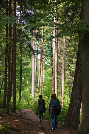 Im Wald